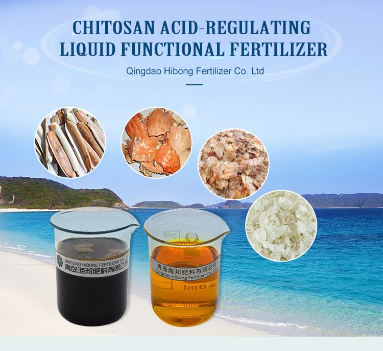 Best selling Acid regulate functional chitin Chitosan oligosaccharide liquid price