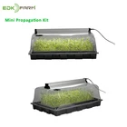 Home Planting Propagator Grow Agriculture Fodder Small Vegetable Plastic Plant Nursery Seed Tray