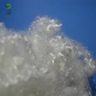 Factory Supplier hollow conjugated siliconized polyester recycled staple fiber made in China
