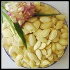Butternut Squash Seeds in Shell ,New Crop