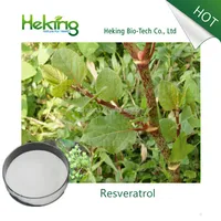 Kosher Manufacture Natural 50 98 Resveratrol