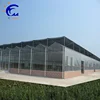 /product-detail/agricultural-and-commercial-commercial-tunnel-greenhouse-60573188720.html