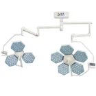 Double Heads Operation Halogen Shadowless Lamp Surgery Light