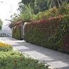 mobile-wall landscaping wall mounted vertical garden planter modular green wall system