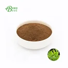 100% Natural Paraguay Tea/Ilex Paraguariensis Powder/Yerba Mate Extract 10:1