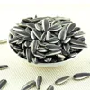 /product-detail/new-crop-raw-sunflower-seed-601-507432693.html
