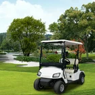 2 seater 2 passenger battery powered golf cart for sale