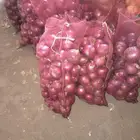 Quality fresh yellow onion vegetables new crop for wholesale