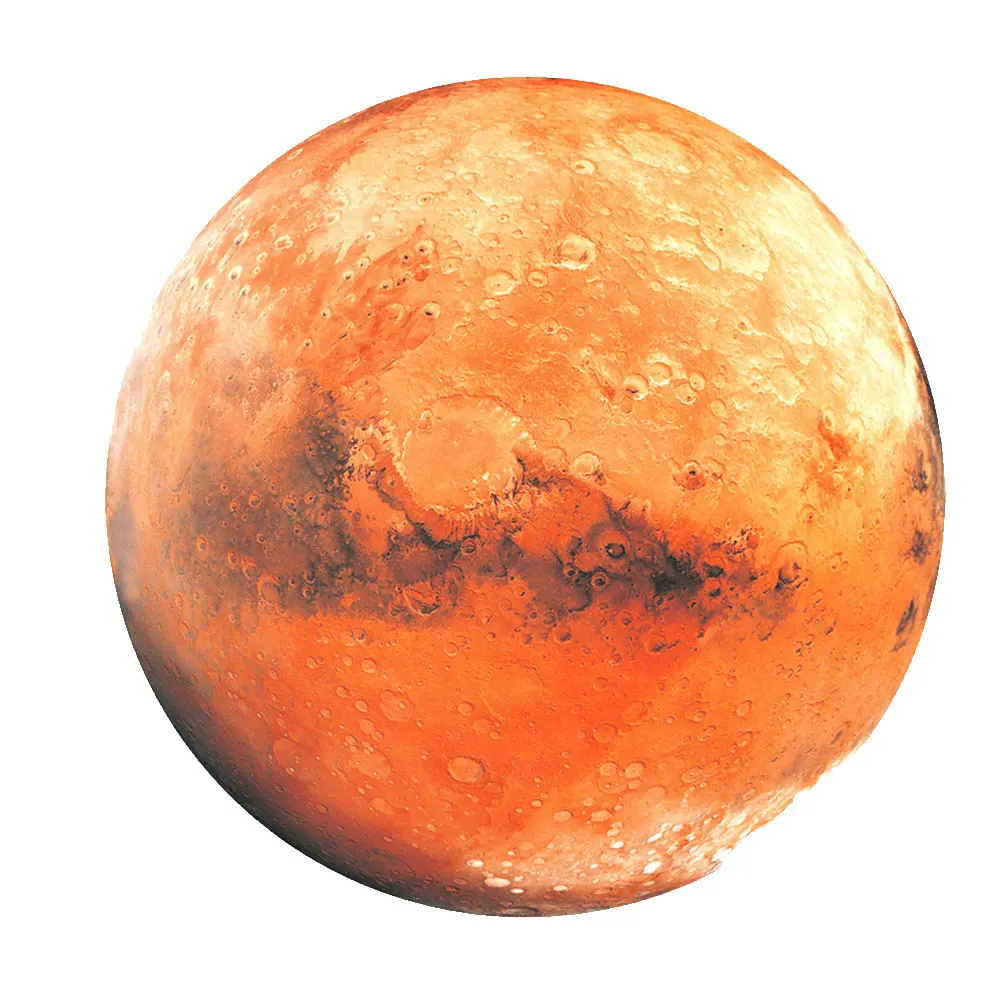 C1-8781-1
