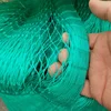 Green fishing net of breeding plant
