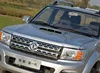 Dongfeng 2WD/4WD Rich pickup truck in gasoline or Diesel engine from factory directly
