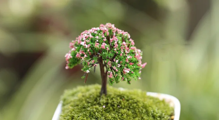 HTB1a6UvIVXXXXa3XXXXq6xXFXXXV