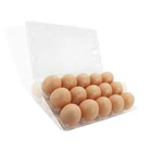 Disposable china oem folding plastic tray blister 12 packs quail plastic PVC container for eggs