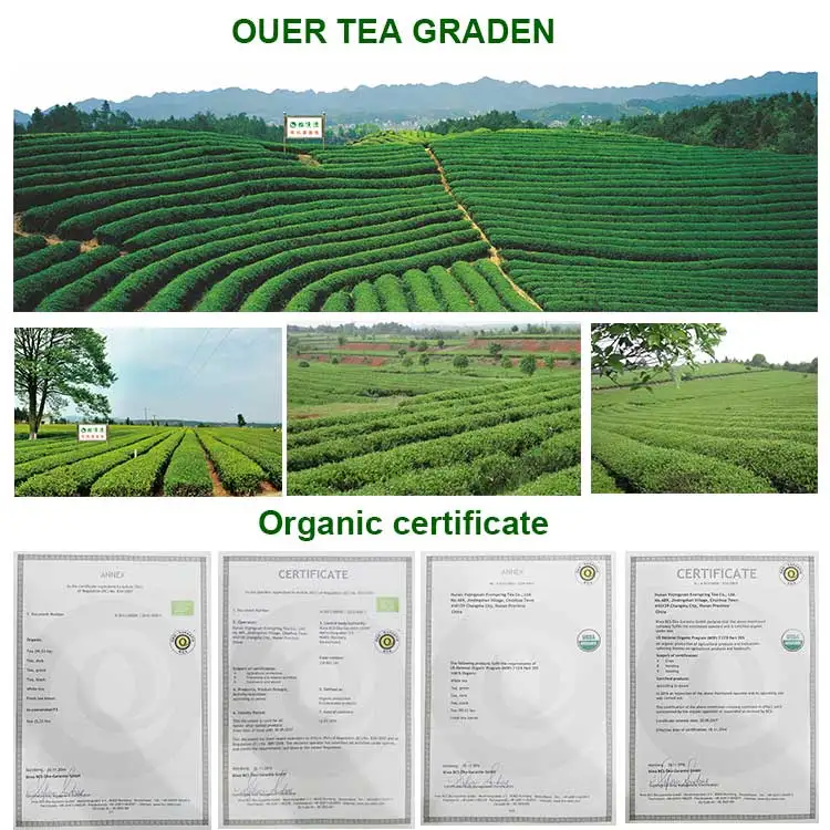 Tea-graden-and-certificate