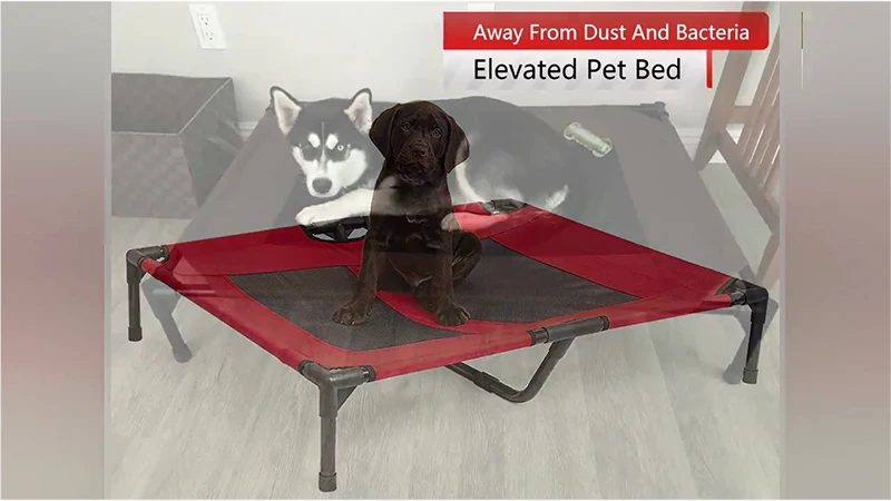 Pet-Bed-cot.jpg