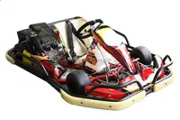 Go Karting with 200cc honda engine go karts for adults