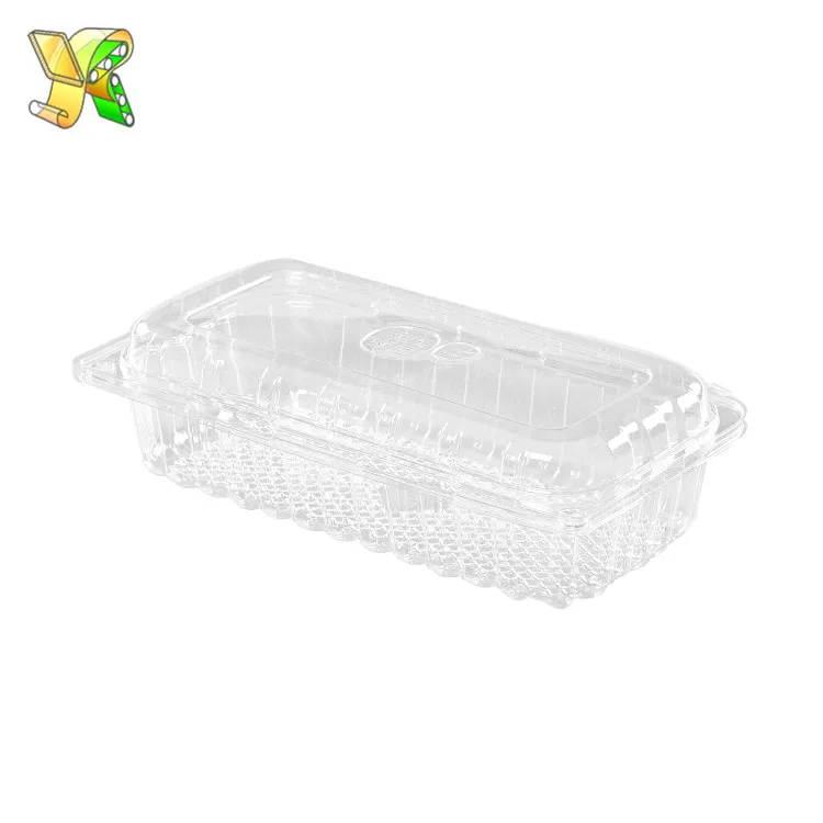 big transparent plastic box