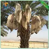 Date bag with UV, date palm protection mesh high quality plastic DATE BAG