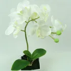 Western home decor large fabric flowers phalaenopsis orchid plant for white phalaenopsis