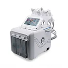 Ultrasound Face Cleansing Equipment Ultrasonic Multifunction Facial Beauty Device