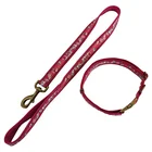 New style custom nylon hands free dog pet leash and collar