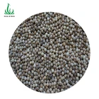 Supplier High Quality Round White Pepper