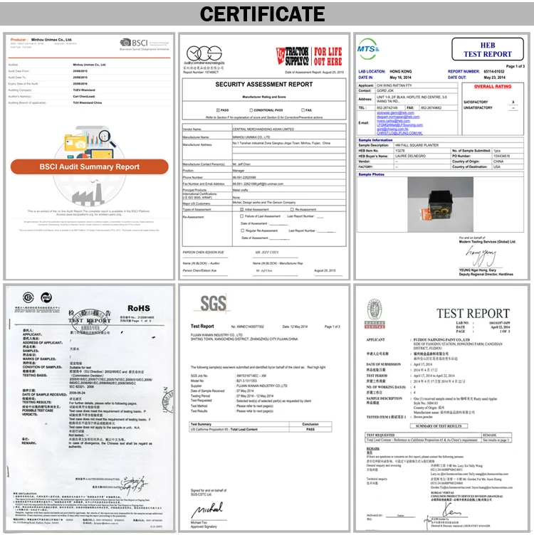 certificate.jpg