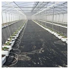 High quality cheap price hobby poly tunnel dome greenhouse supplies all parts for sale