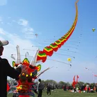 custom Chinese Traditional gift dragon kite