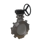 High Performance Butterfly Valve Gear Opt