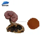 best Selling red lingzhi ganoderma lucidum 100% organic reishi mushroom powder
