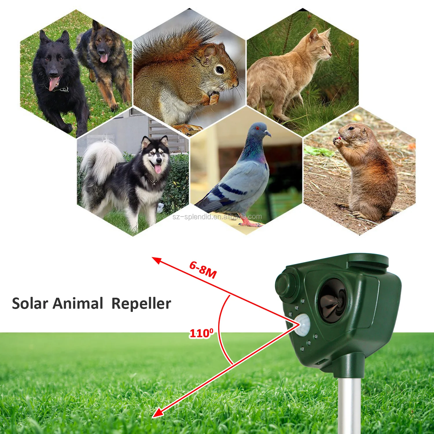 solar pir bird dog cat control ultrasonic pest repeller