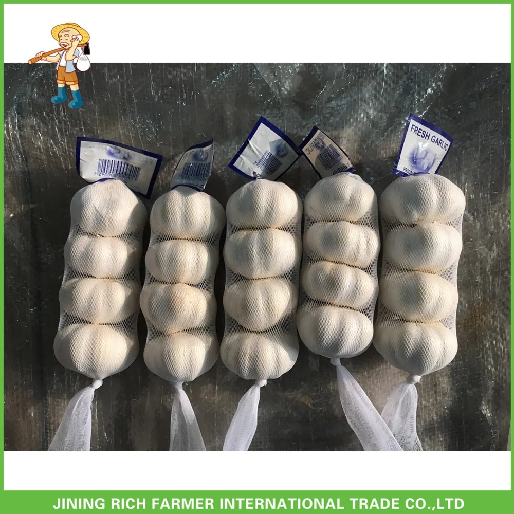2017 Fresh Normal White Garlic 5.5CM In 10KG Carton For Brazil Cheapest Price High Quality