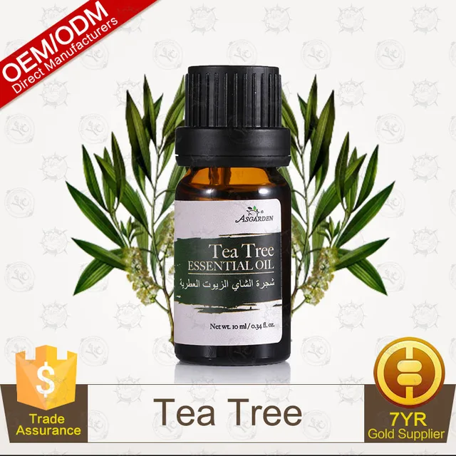 100% pure plants extracts tea tree essential oil oem/odm