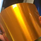 Epoxy/polyester powder coating gold mirror powder paint