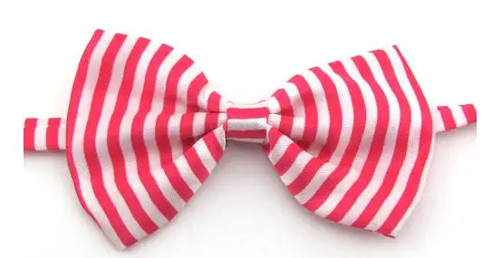 36020170425190544155