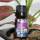 Bulk lavender moisturizing smoothing perfume essence oil for beauty