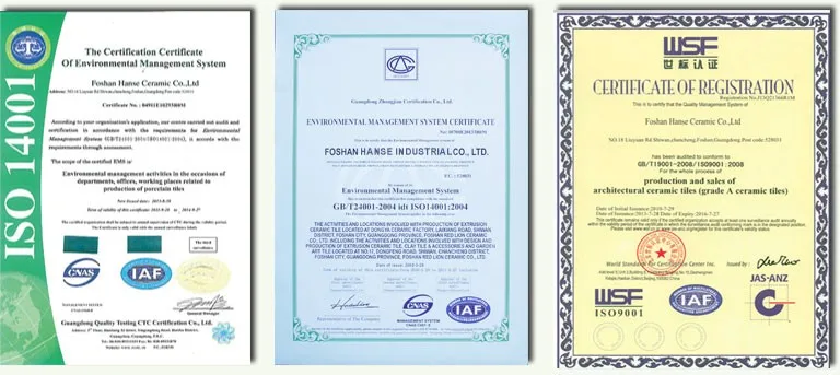 certification.jpg