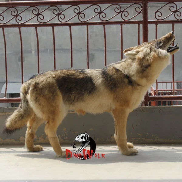 simulation wolf (4).jpg