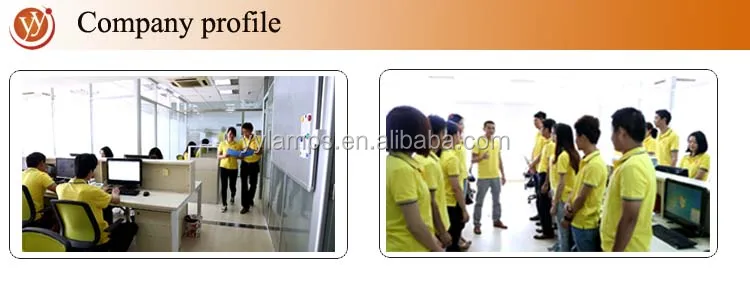 Company profile.jpg