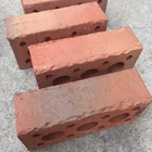 Sintered Hollow red clay brick with different colors