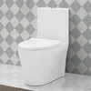 /product-detail/european-bathroom-sanitary-one-piece-s-trap-women-chinese-wc-toilet-60271887260.html