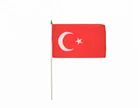 Hot selling professional Turkey hand shaking flag