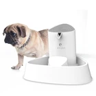 Multifunctional pet water dispenser dog for wholesales