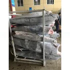 New Landing Sea Frozen Fish Black Marlin on Sale 25kg up