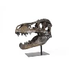 /product-detail/3d-carved-resin-animal-head-tyrannosaurus-dinosaur-skull-for-home-decor-62068591816.html