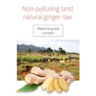 100% high quality China factory dried ginger shredded ginger natural ginger flake