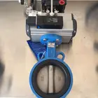 Butterfly Flange Valve Butterfly All Sypes DN50-DN2000 Water Oil Gas Worm Gear Handle Electric Pneumatic