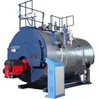 2T/h gas(oil)fuel fired steam boiler for food package plant