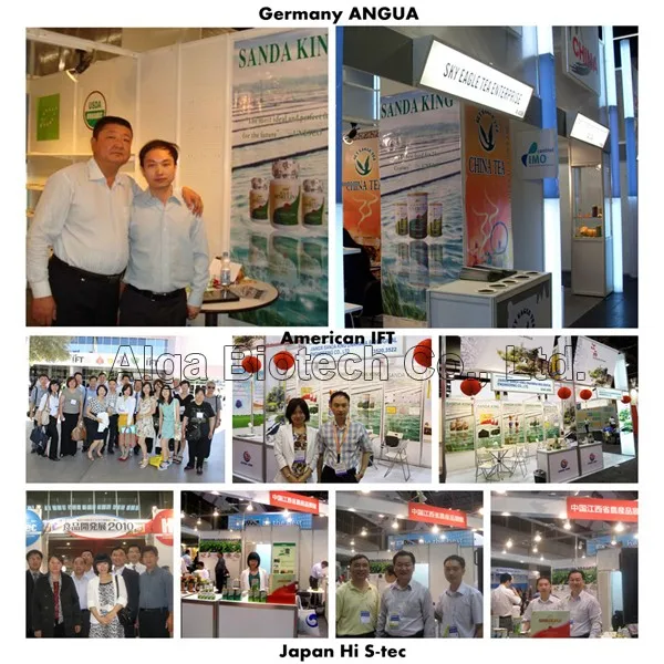 exhibition.jpg